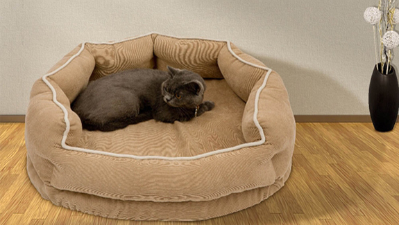 宠物火化善终—李女士和她的狗狗